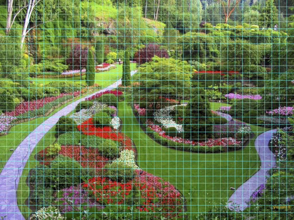 garden photo with grid overlay